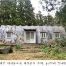 제주 이시돌목장 테시폰식 주택 이미지