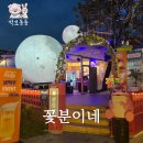 객리단길 애견동반술집 「꽃분이네」 전주 핫플 재방문 후기.