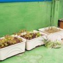 동진유치원 이미지