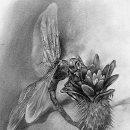 김천더학원 이미지