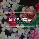 비데랜드 이미지