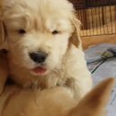 쿨스타스 이미지