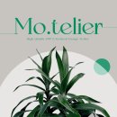 모뜰리에