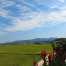 호성자전거 이미지