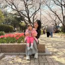 내동어린이공원 | 김해 벚꽃 명소 연지공원 실시간 개화 상황 29개월 아기랑 다녀온 후기 주차정보