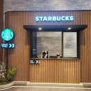 정관장LOUNGE구리갈매 | 애견동반카페 스타벅스 구리갈매DT 펫존 강아지가방 후기