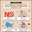 고래상어마켓