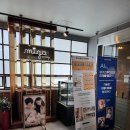 허니비헤어 - 세종특별자치시 한누리대로 205 | [인천200일촬영] 미가스튜디오에서 보낸 특별한 하루, 우리아가의 200일 촬영 후기! 💛