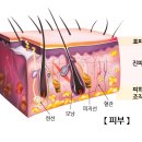 [모공축소 시술] 피코 슈어 프락셀