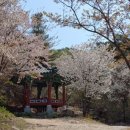 자진뱅이길 이미지