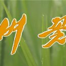 광민농장 이미지