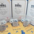 탑브레인 Daum카페