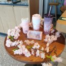 산본사거리(스타벅스 앞) 이미지