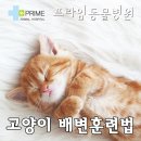 구리동물병원 이미지