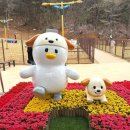 댕댕놀이터 | 김해댕댕파크 이용 방법, 주차 | 무료 애견 운동장