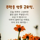 7월22일 고발뉴스 이미지