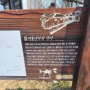 대룡 | 강화 교동도 핫플 대룡시장 방문 후기