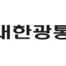 대한광통신(주)
