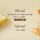 솔트앤멜로우