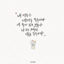샬롬캘리
