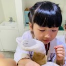 소풍동물병원 이미지