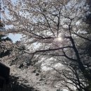 평생교육원 회전 교차로 이미지