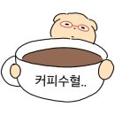 파충류카페 비비안 이미지