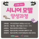 시니어모델 양성과정 이미지