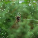 검바위약수터 이미지