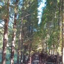 1번지공인중개사사무소 이미지