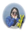 자작나무숲꽃마리 이미지