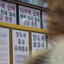신용부동산공인중개사사무소 뉴스1