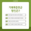 구로튼튼의원 이미지