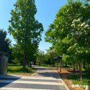 성호공원 화장실 이미지