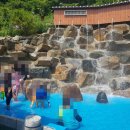 저팔계숯불구이 이미지