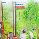 여름밤 이미지