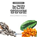 연세안과건강식품