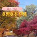 호명호수(제1주차장) | 가평 단풍여행 명소 호명호수 둘레길 주차장 버스 시간표