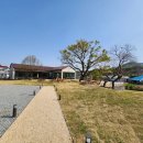 마메르