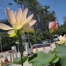 박정란농장 이미지