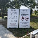제주목장 | 13개월 아기랑 다녀온 제주 아침미소목장 리얼 후기