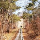 만천하스카이워크 알파인코스터 이미지