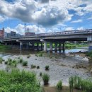 기아대교 이미지