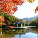 육모정민박 이미지