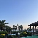 팜밸리리조트 | 제주 서귀포 4월: 팜밸리 리조트 야외수영장 후기