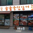 파라솔장어 이미지