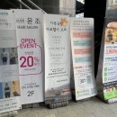 살롱윤조
