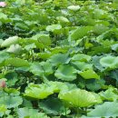 오천그린광장 이미지