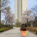 돗자리상회 이미지