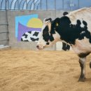 달뜨는 마을 보금자리 이미지